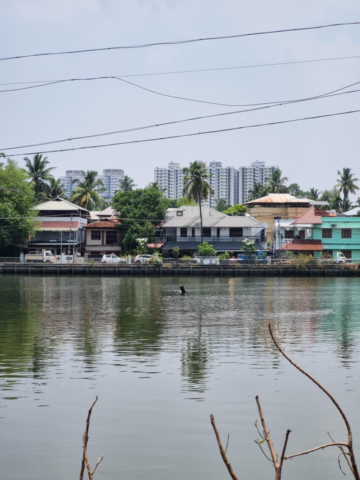 Oasis Homestay Kochi Exterior photo
